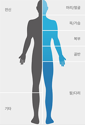 신체이미지